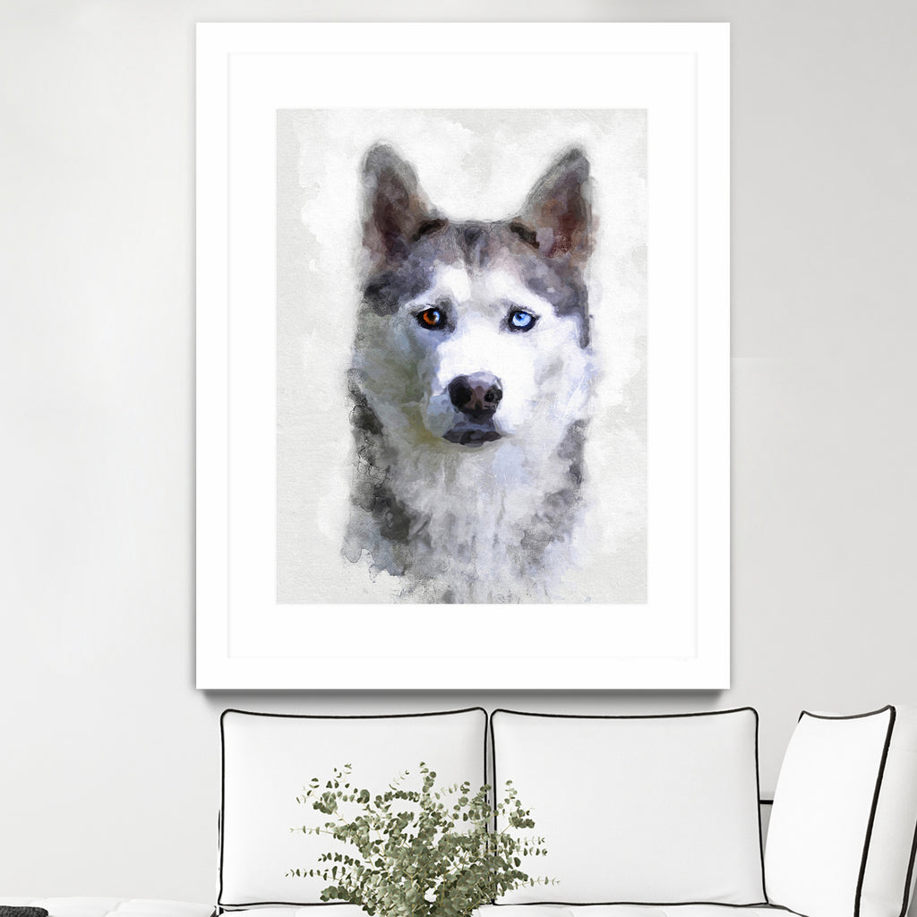 Siberian Husky by Alex Baron on GIANT ART - gray digital painting