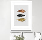 Feathers by Dana Shek on GIANT ART - white photo illustration