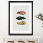 Feathers by Dana Shek on GIANT ART - white photo illustration