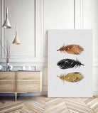 Feathers by Dana Shek on GIANT ART - white photo illustration