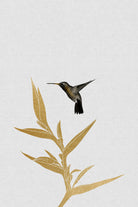 Hummingbird & Flower II by Dana Shek on GIANT ART - white digital painting