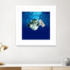 Cat Nvermind Album Cover under Water BabyNeve by Damian Augustyniak on GIANT ART - blue photo manipulation