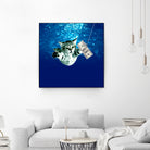 Cat Nvermind Album Cover under Water BabyNeve by Damian Augustyniak on GIANT ART - blue photo manipulation