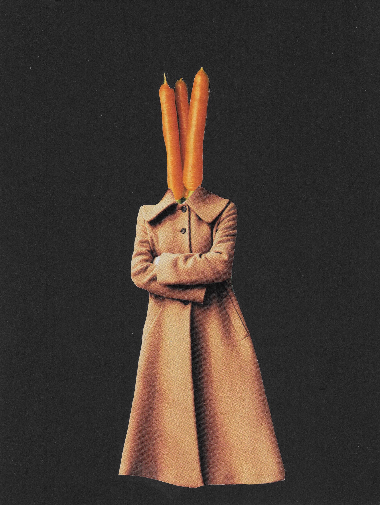 i dont carrot all by Kiki Castel on GIANT ART - black photo manipulation