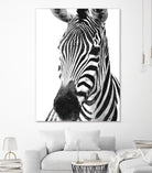 Black and White Zebra by Alessandra Minervini on GIANT ART - black digital painting