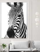 Black and White Zebra by Alessandra Minervini on GIANT ART - black digital painting