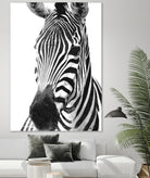 Black and White Zebra by Alessandra Minervini on GIANT ART - black digital painting