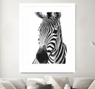 Black and White Zebra by Alessandra Minervini on GIANT ART - black digital painting