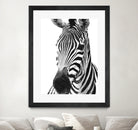 Black and White Zebra by Alessandra Minervini on GIANT ART - black digital painting