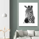 Black and White Zebra by Alessandra Minervini on GIANT ART - black digital painting