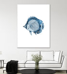 Blue Fish Illustration by Alessandra Minervini on GIANT ART - blue digital painting