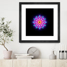 abstract flower1 by Ilya Shapko on GIANT ART - fuchsia vector illustration