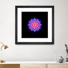 abstract flower1 by Ilya Shapko on GIANT ART - fuchsia vector illustration