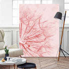 Dandelion In Pink by IOANNA PAPANIKOLAOU on GIANT ART - pink photo illustration