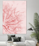 Dandelion In Pink by IOANNA PAPANIKOLAOU on GIANT ART - pink photo illustration