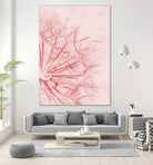 Dandelion In Pink by IOANNA PAPANIKOLAOU on GIANT ART - pink photo illustration