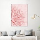 Dandelion In Pink by IOANNA PAPANIKOLAOU on GIANT ART - pink photo illustration