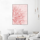 Dandelion In Pink by IOANNA PAPANIKOLAOU on GIANT ART - pink photo illustration