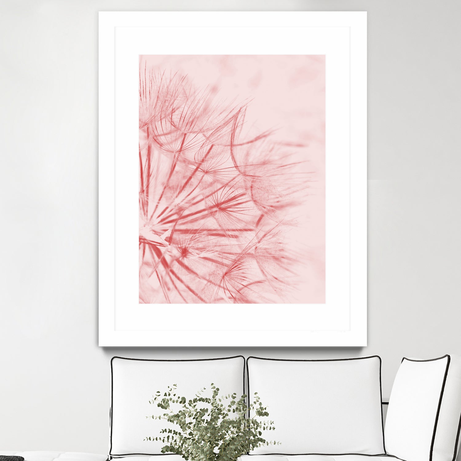 Dandelion In Pink by IOANNA PAPANIKOLAOU on GIANT ART - pink photo illustration