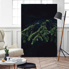 Fir tree by Mikhail Zhirnov on GIANT ART - green photo illustration