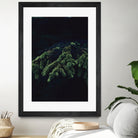 Fir tree by Mikhail Zhirnov on GIANT ART - green photo illustration