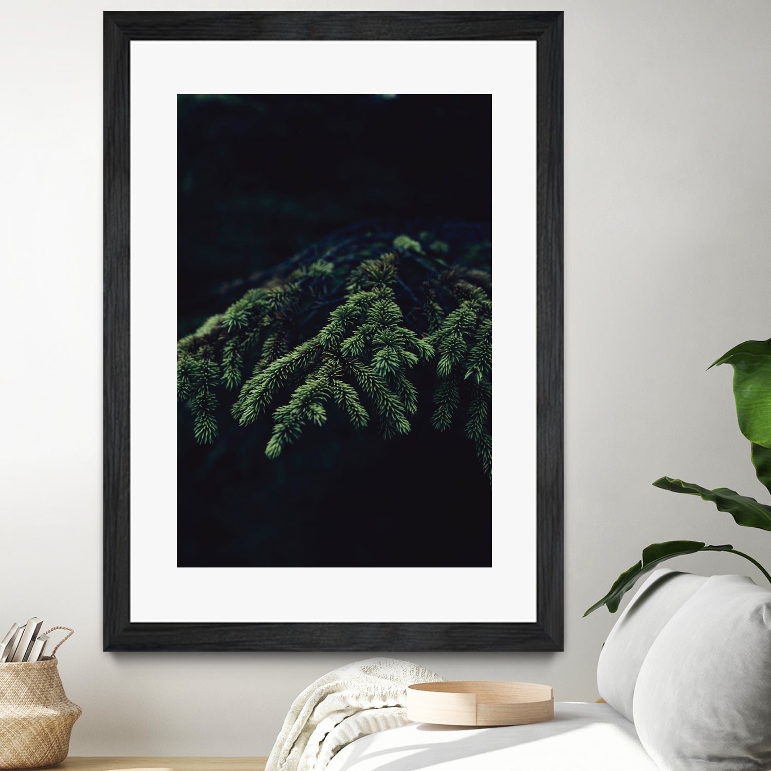 Fir tree by Mikhail Zhirnov on GIANT ART - green photo illustration