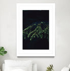 Fir tree by Mikhail Zhirnov on GIANT ART - green photo illustration