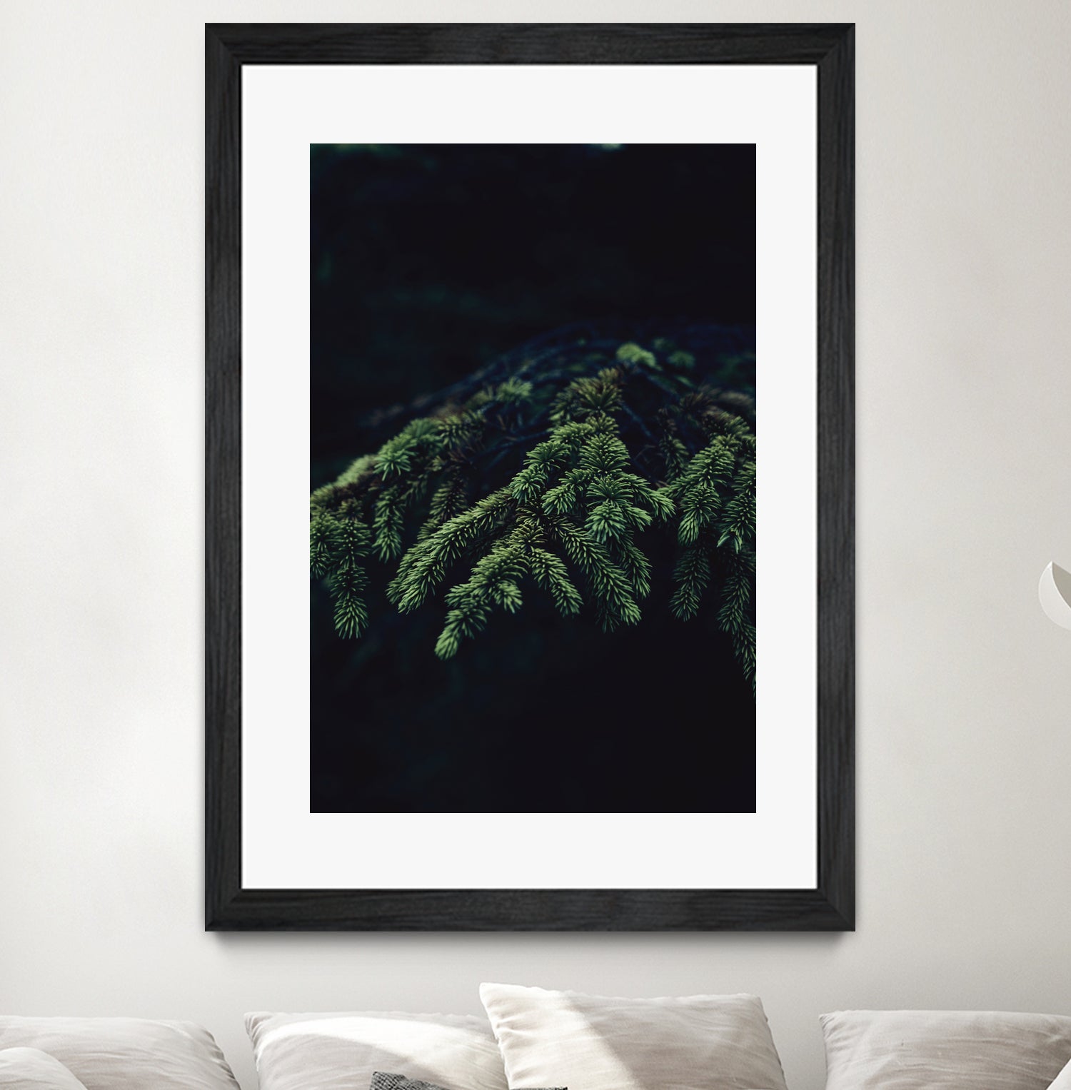 Fir tree by Mikhail Zhirnov on GIANT ART - green photo illustration