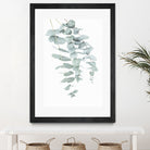 Eucalyptus II by Kathrin Pienaar on GIANT ART - green photo manipulation