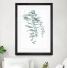 Eucalyptus II by Kathrin Pienaar on GIANT ART - green photo manipulation