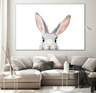 Bunny by Kathrin Pienaar on GIANT ART - gray photo manipulation