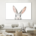 Bunny by Kathrin Pienaar on GIANT ART - gray photo manipulation