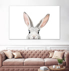 Bunny by Kathrin Pienaar on GIANT ART - gray photo manipulation