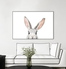 Bunny by Kathrin Pienaar on GIANT ART - gray photo manipulation