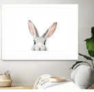 Bunny by Kathrin Pienaar on GIANT ART - gray photo manipulation