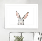 Bunny by Kathrin Pienaar on GIANT ART - gray photo manipulation