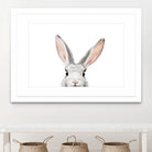 Bunny by Kathrin Pienaar on GIANT ART - gray photo manipulation