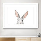 Bunny by Kathrin Pienaar on GIANT ART - gray photo manipulation