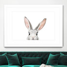 Bunny by Kathrin Pienaar on GIANT ART - gray photo manipulation