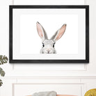 Bunny by Kathrin Pienaar on GIANT ART - gray photo manipulation