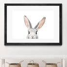 Bunny by Kathrin Pienaar on GIANT ART - gray photo manipulation