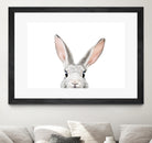 Bunny by Kathrin Pienaar on GIANT ART - gray photo manipulation