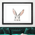 Bunny by Kathrin Pienaar on GIANT ART - gray photo manipulation