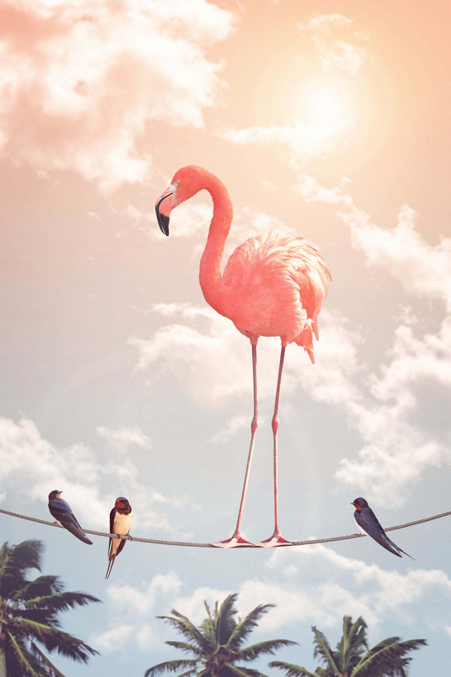 FLAMINGO & FRIENDS by Jonas Loose on GIANT ART - yellow photo manipulation