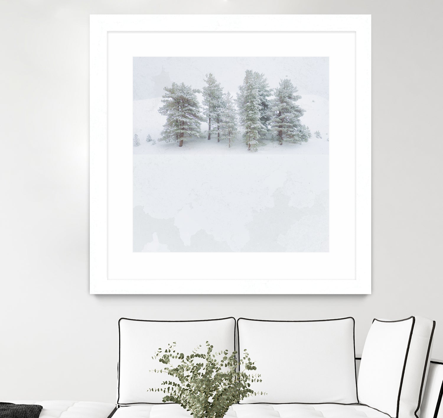 Pines by Antonio Zimbone on GIANT ART - white photo illustration