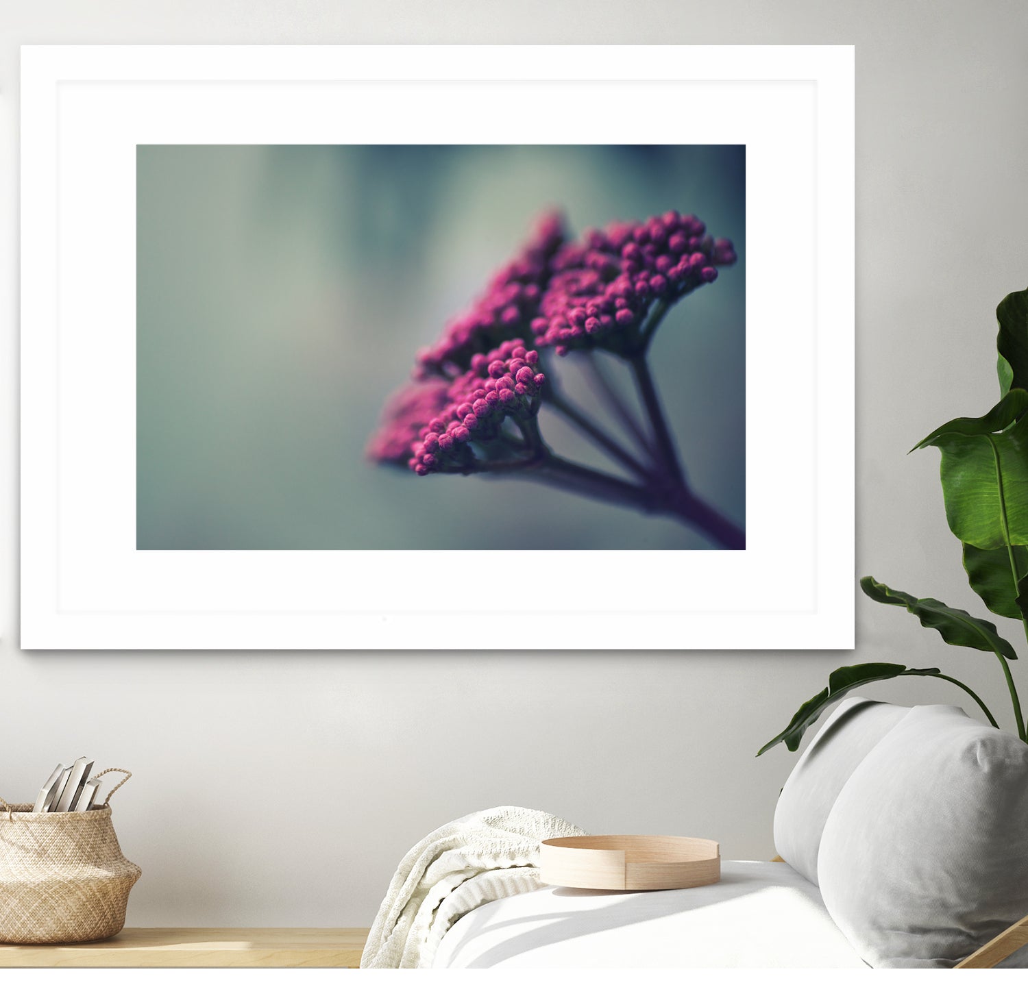 Pink winter flowers by Giordano Aita on GIANT ART - fuchsia photo illustration