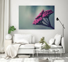 Pink winter flowers by Giordano Aita on GIANT ART - fuchsia photo illustration