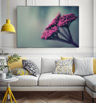 Pink winter flowers by Giordano Aita on GIANT ART - fuchsia photo illustration