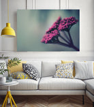 Pink winter flowers by Giordano Aita on GIANT ART - fuchsia photo illustration