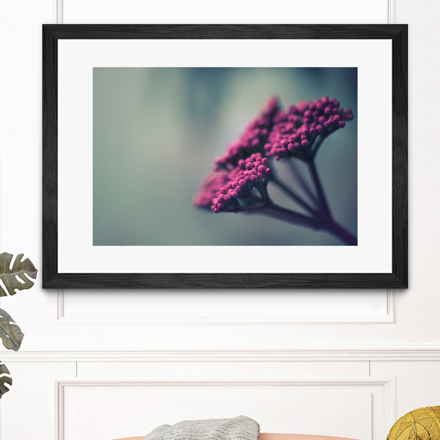 Pink winter flowers by Giordano Aita on GIANT ART - fuchsia photo illustration